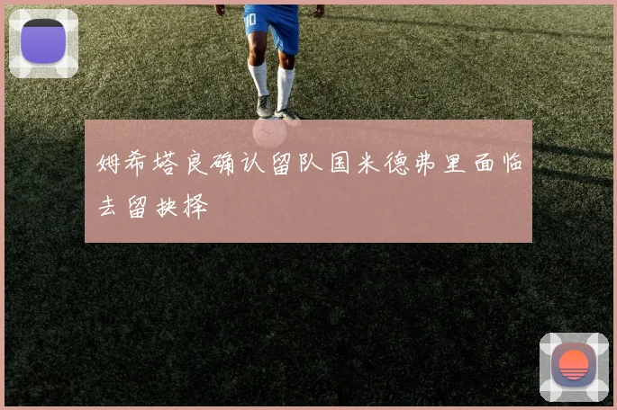 姆希塔良确认留队国米德弗里面临去留抉择